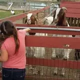 Johnson's Corner Farm photo