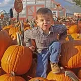 Johnson's Corner Farm photo