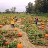 Johnson's Corner Farm photo