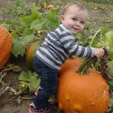 Johnson's Corner Farm photo