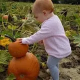 Johnson's Corner Farm photo