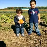 Johnson's Corner Farm photo