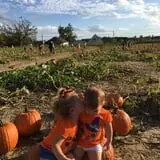 Johnson's Corner Farm photo