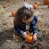 Johnson's Corner Farm photo