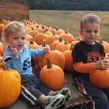 Johnson's Corner Farm photo