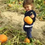 Johnson's Corner Farm photo