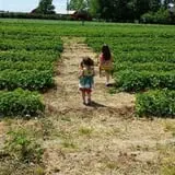 Johnson's Corner Farm photo