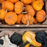 Johnson's Corner Farm photo