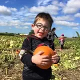 Johnson's Corner Farm photo