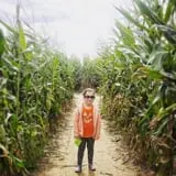 Johnson's Corner Farm photo