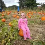 Johnson's Corner Farm photo