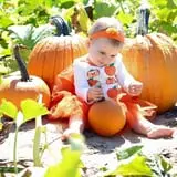 Johnson's Corner Farm photo