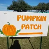 Marana Pumpkin Patch & Farm Festival photo