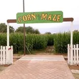Marana Pumpkin Patch & Farm Festival photo