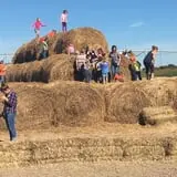 Circle N Maze photo