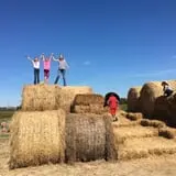 Circle N Maze photo