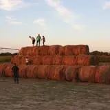 Circle N Maze photo