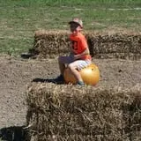 Circle N Maze photo