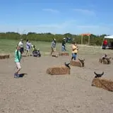 Circle N Maze photo