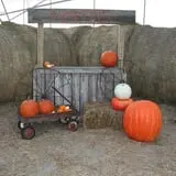 Circle N Maze photo