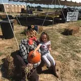 Circle N Maze photo