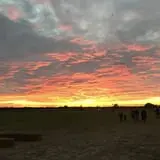Circle N Maze photo