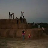 Circle N Maze photo
