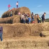 Circle N Maze photo