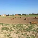 Circle N Maze photo