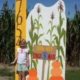 Circle N Maze photo