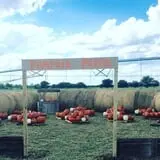 Circle N Maze photo
