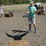 Circle N Maze photo