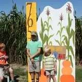 Circle N Maze photo