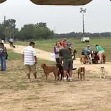 Circle N Maze photo