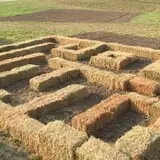 Circle N Maze photo