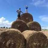 Circle N Maze photo