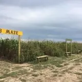 Circle N Maze photo