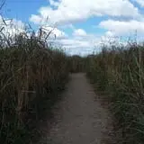 Circle N Maze photo