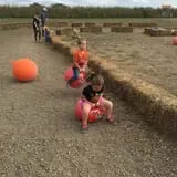 Circle N Maze photo