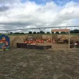 Circle N Maze photo