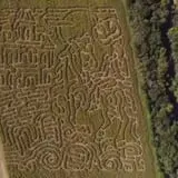 Circle N Maze photo