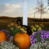 Maple Hills Orchard photo