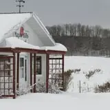 Maple Hills Orchard photo