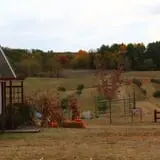 Maple Hills Orchard photo