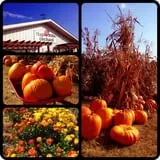 Maple Hills Orchard photo