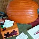 Maple Hills Orchard photo