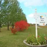 Maple Hills Orchard photo