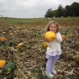 Maple Hills Orchard photo