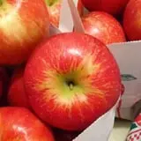 Maple Hills Orchard photo