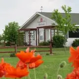 Maple Hills Orchard photo